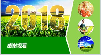 2018互联网+农副产品市场推广企业营销策划方案