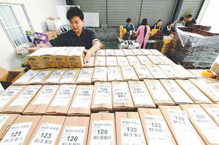 双十一砀山县 互联网助力水果销售，助农增收热火朝天